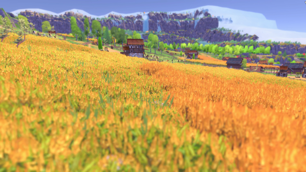 ct fields